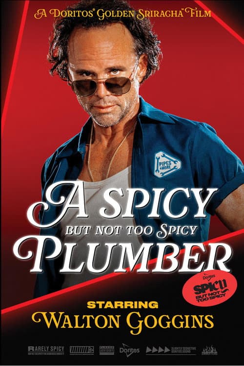 A Spicy but Not Too Spicy Plumber (2025) poster