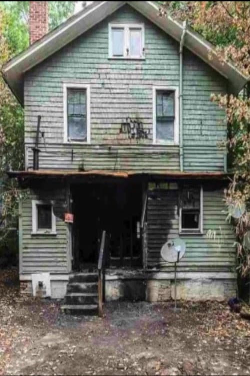 A Domestic Incident in Boylan Heights (2017) poster