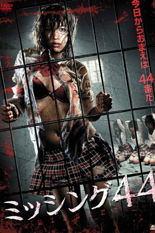 ミッシング44 (2010) poster