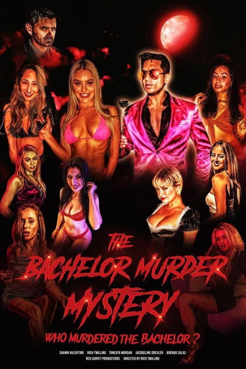 The Bachelor Murder Mystery: Who Murdered the Bachelor? (2022) poster