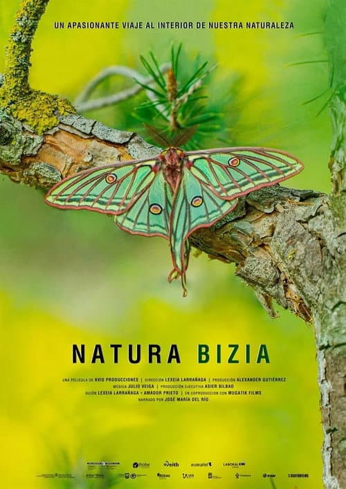Natura Bizia (2021) poster