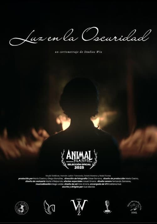 Luz en la oscuridad (2025) poster