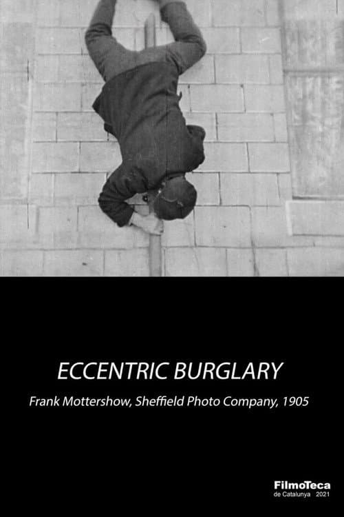 An Eccentric Burglary (1905) poster