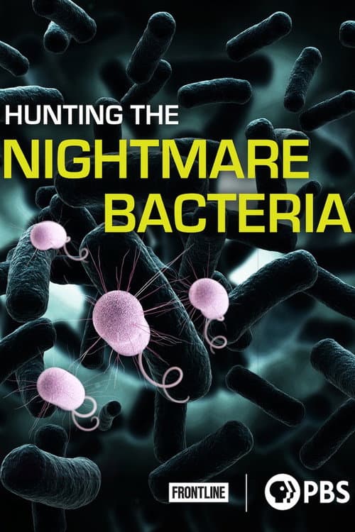 Hunting The Nightmare Bacteria (2013) poster