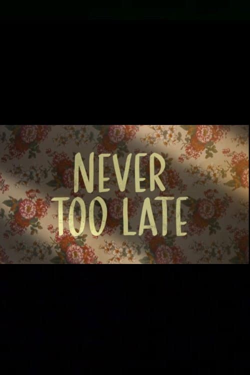 Never Too Late (2025) poster