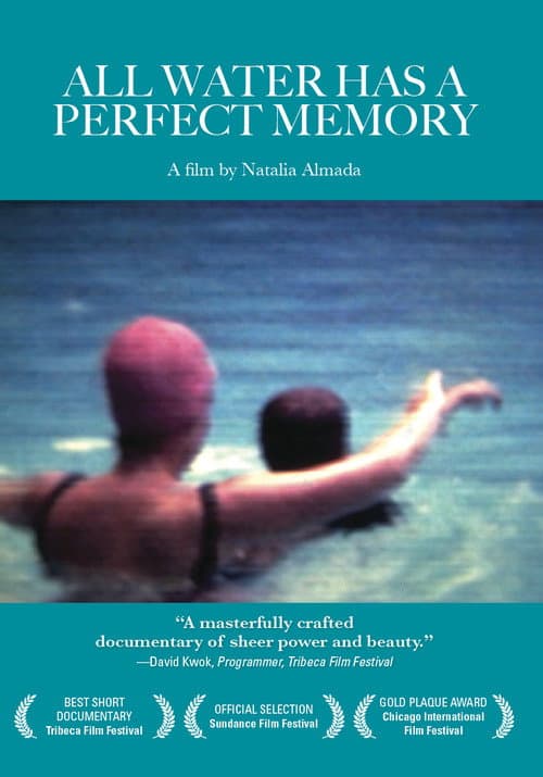 All Water Has a Perfect Memory (2001) poster