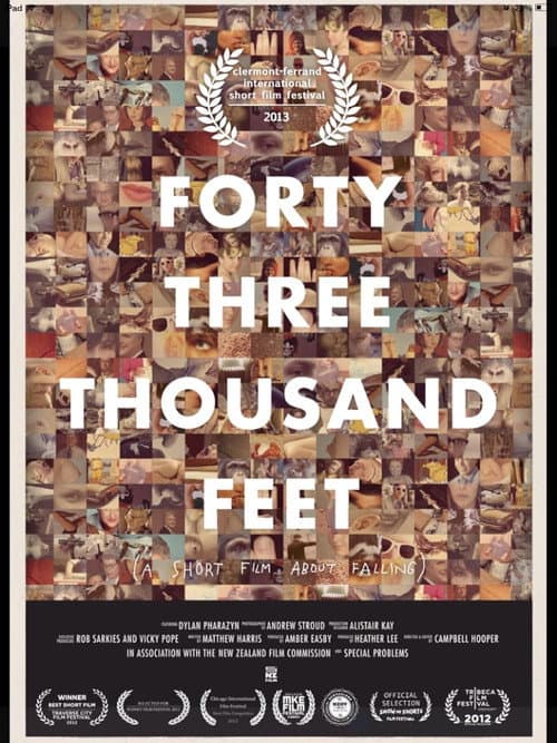 43,000 Feet (2012) poster