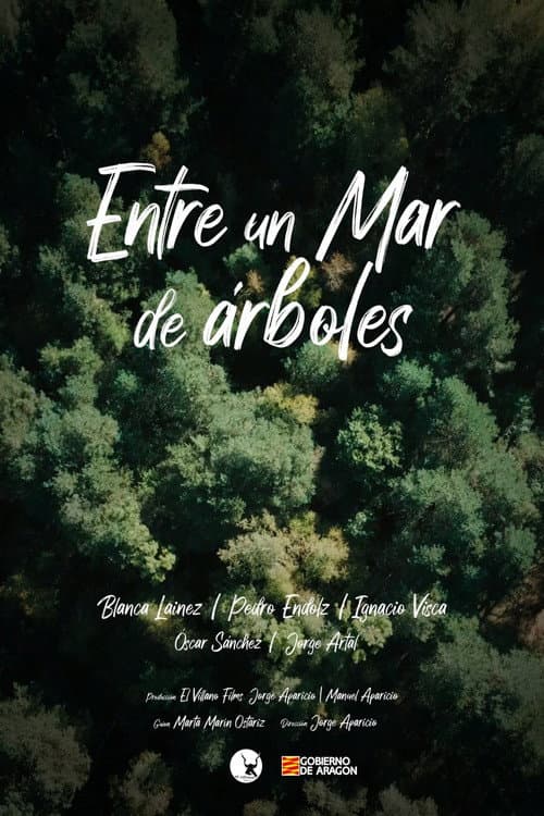 Entre un mar de árboles (2026) poster