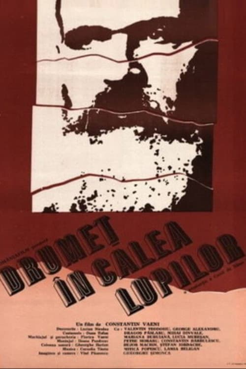 Drumeț în calea lupilor (1990) poster