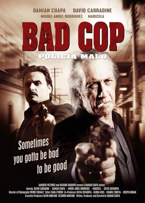 Bad Cop (2009) poster