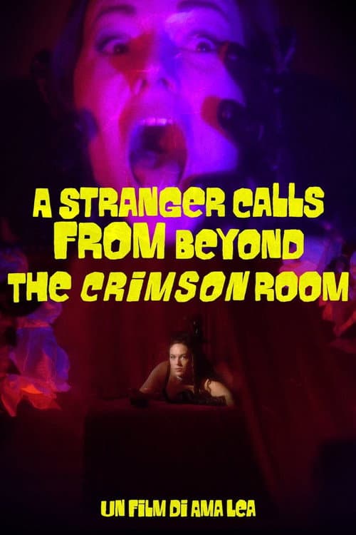 A Stranger Calls from Beyond the Crimson Room (2022) poster