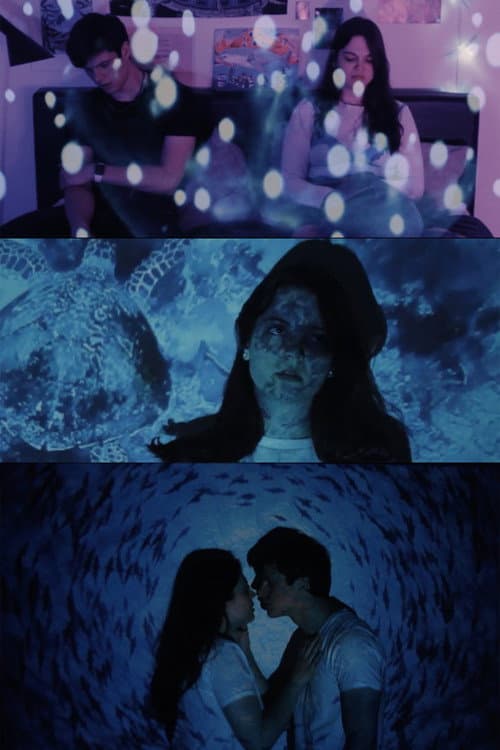 The Waves Will Always Kiss the Shore (2022) poster