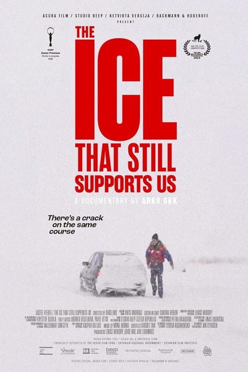 Jäätee veerel (2023) poster