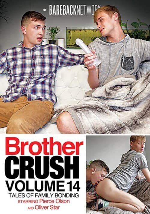 Brother Crush 14 (2020) poster
