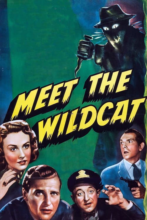 Meet the Wildcat (1940) poster