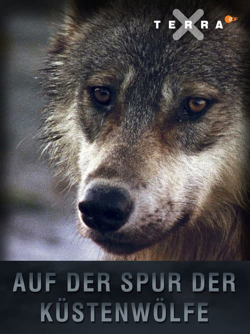 Auf der Spur der Küstenwölfe (2007) poster