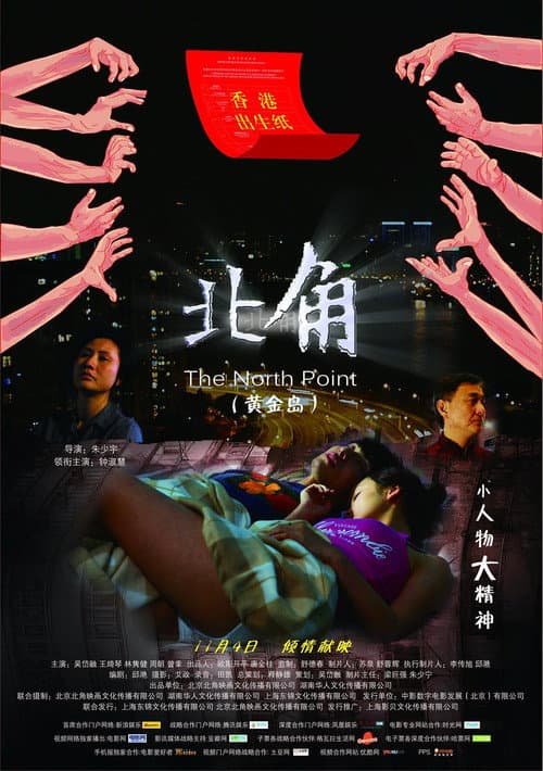 North point (2011) poster