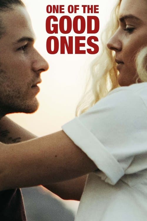 One of the Good Ones (2020) poster