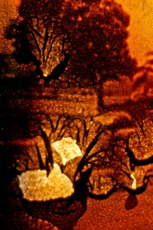 Stuttgart Filmwinter (1987) poster