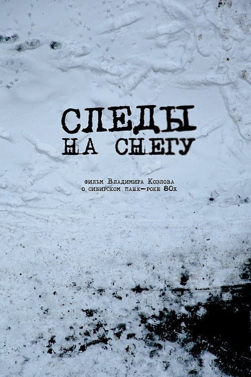 Следы на снегу (2014) poster