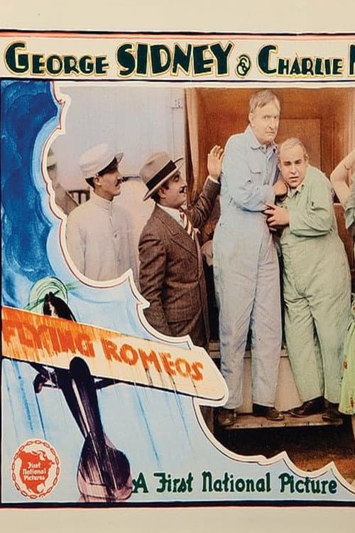Flying Romeos (1928) poster