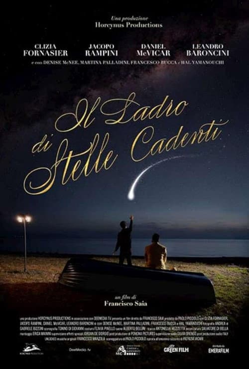 Il ladro di stelle cadenti (2024) poster