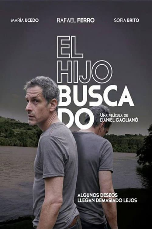 El hijo buscado (2014) poster