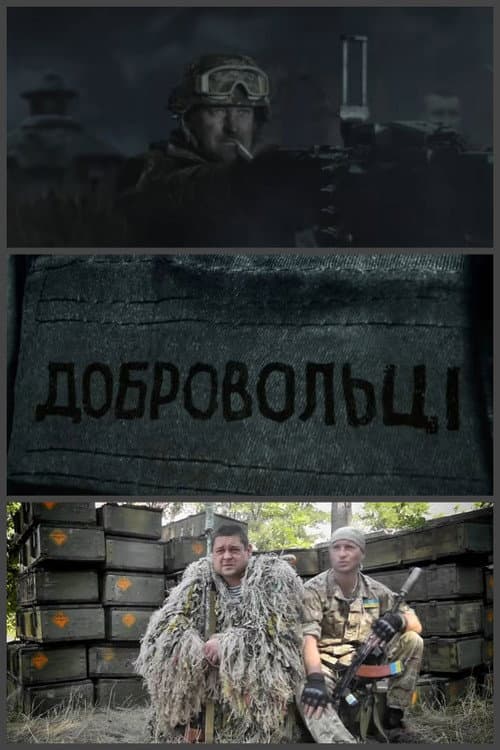 Добровольці (2015) poster