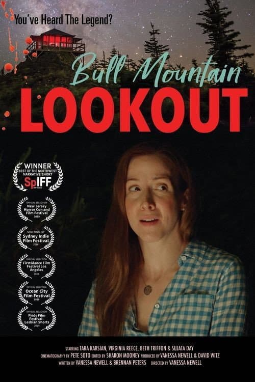 Bull Mountain Lookout (2018) poster