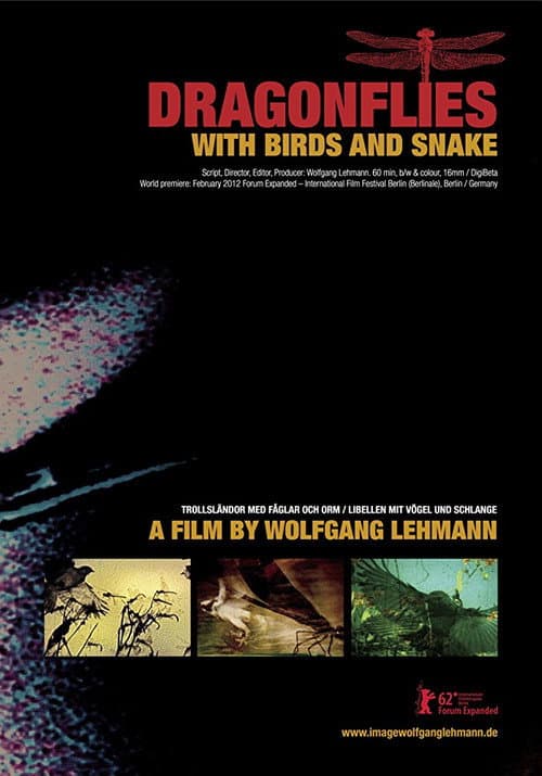 Trollsländor med fåglar och orm (2012) poster