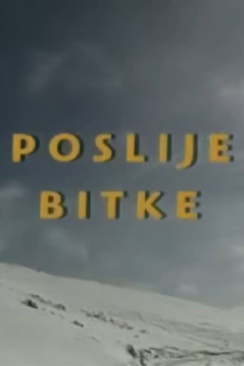 Poslije bitke (1997) poster