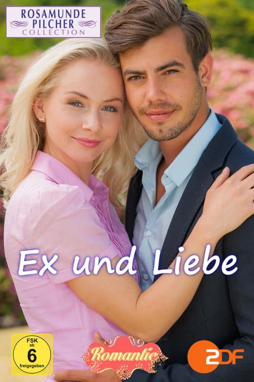 Rosamunde Pilcher: Ex und Liebe (2016) poster