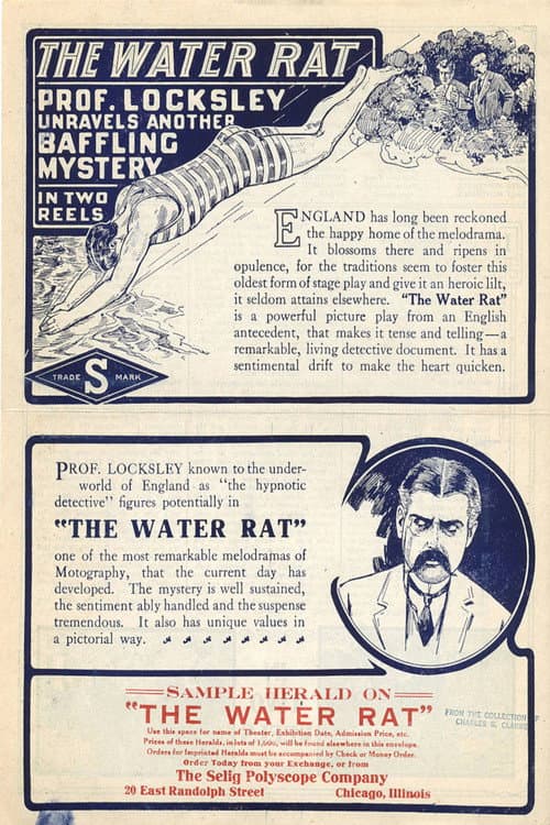 The Water Rat (1913) poster