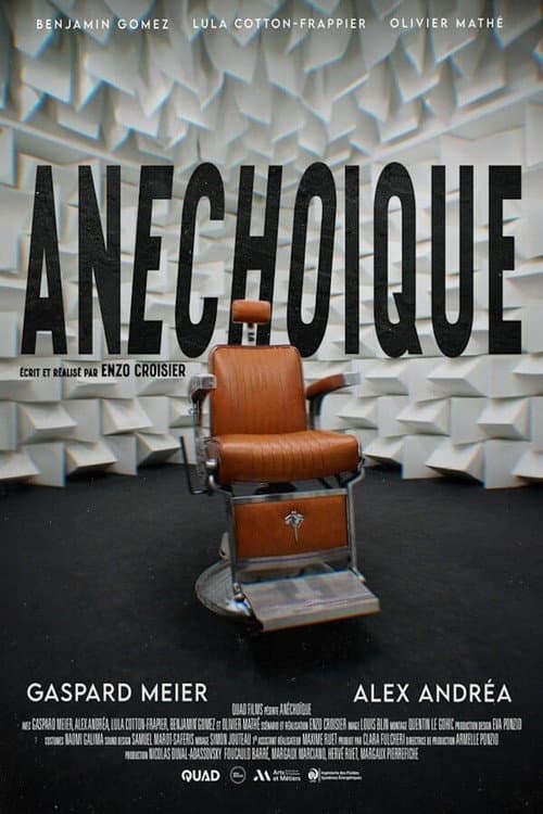 Anéchoïque (2024) poster