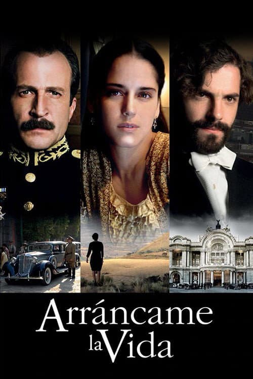Arráncame la vida (2008) poster