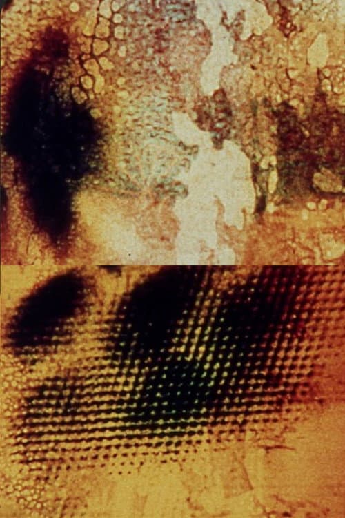 Aftermath (1981) poster