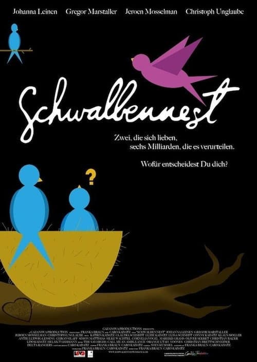 Schwalbennest (2011) poster