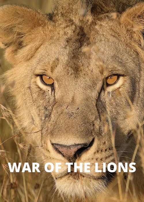 War of the Lions (2022) poster