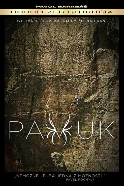 Pavúk (2018) poster