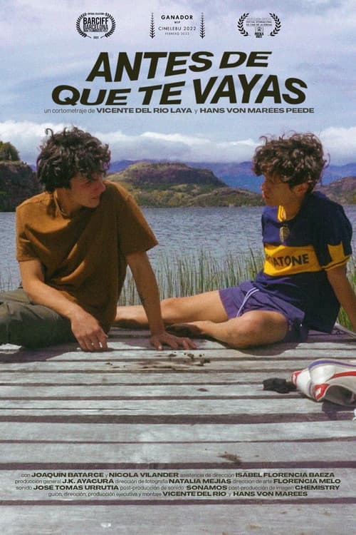 Antes de que te vayas (2022) poster