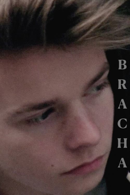Brácha (2015) poster