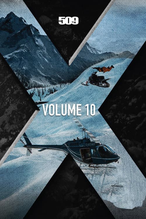 509 Films: Volume 10 (2015) poster