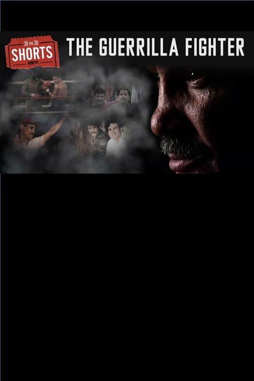 The Guerilla Fighter (2016) poster
