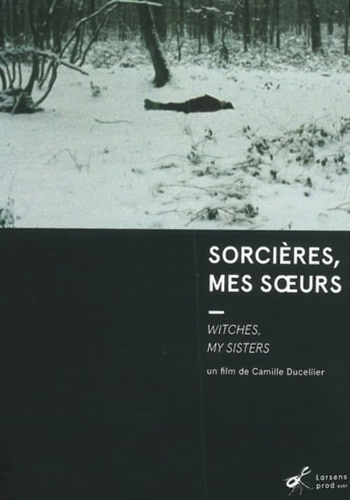 Sorcières, mes soeurs (2010) poster