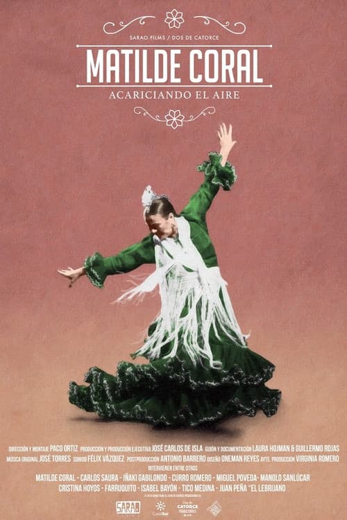 Matilde Coral, acariciando el aire (2016) poster