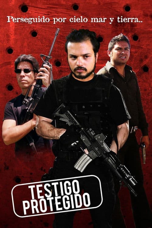 Testigo Protegido (2013) poster