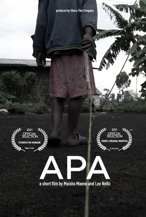 APA (2021) poster