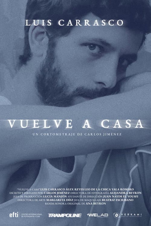 Vuelve a casa (2025) poster