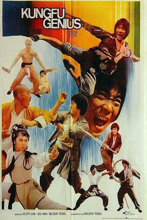 Tian cai gong fu (1979) poster