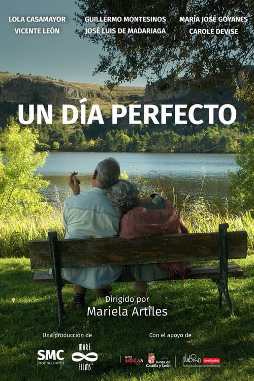 Un día perfecto (2025) poster